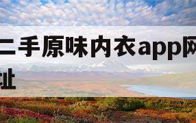 二手原味内衣app网址