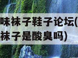 原味袜子鞋子论坛(原味袜子是酸臭吗)